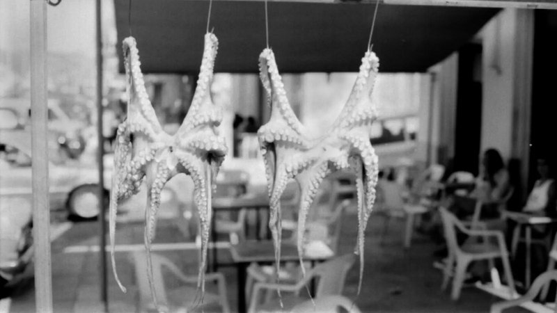 Setup OctoPI on Raspberry PI Setup OctoPI on Raspberry PI